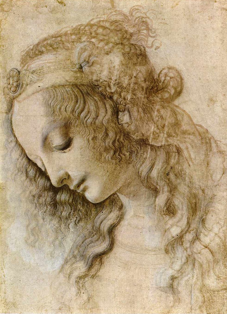 Weiblicher Kopf im Profil tekijältä Leonardo da Vinci