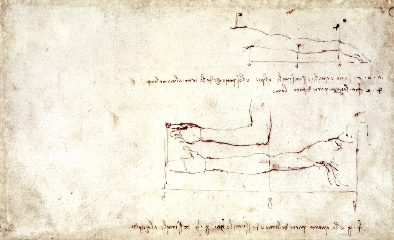 braccio tekijältä Leonardo da Vinci