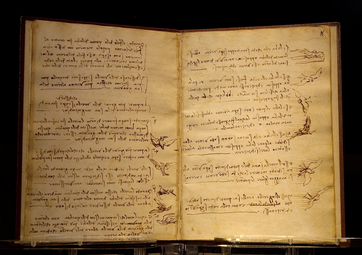 lintujen lennon koodeksi Luc Viatour tekijältä Leonardo da Vinci