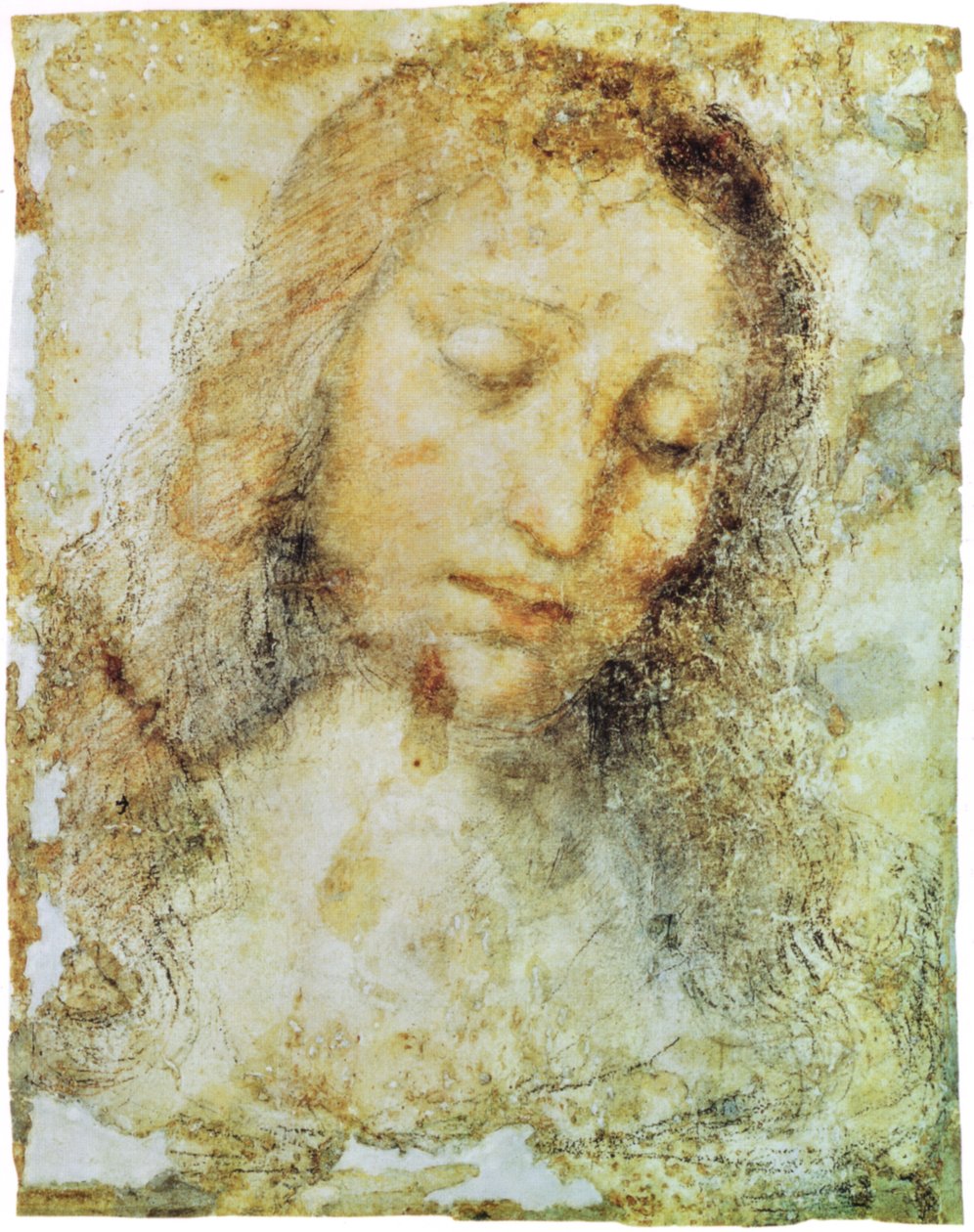 Breran kuvagalleria tekijältä Leonardo da Vinci