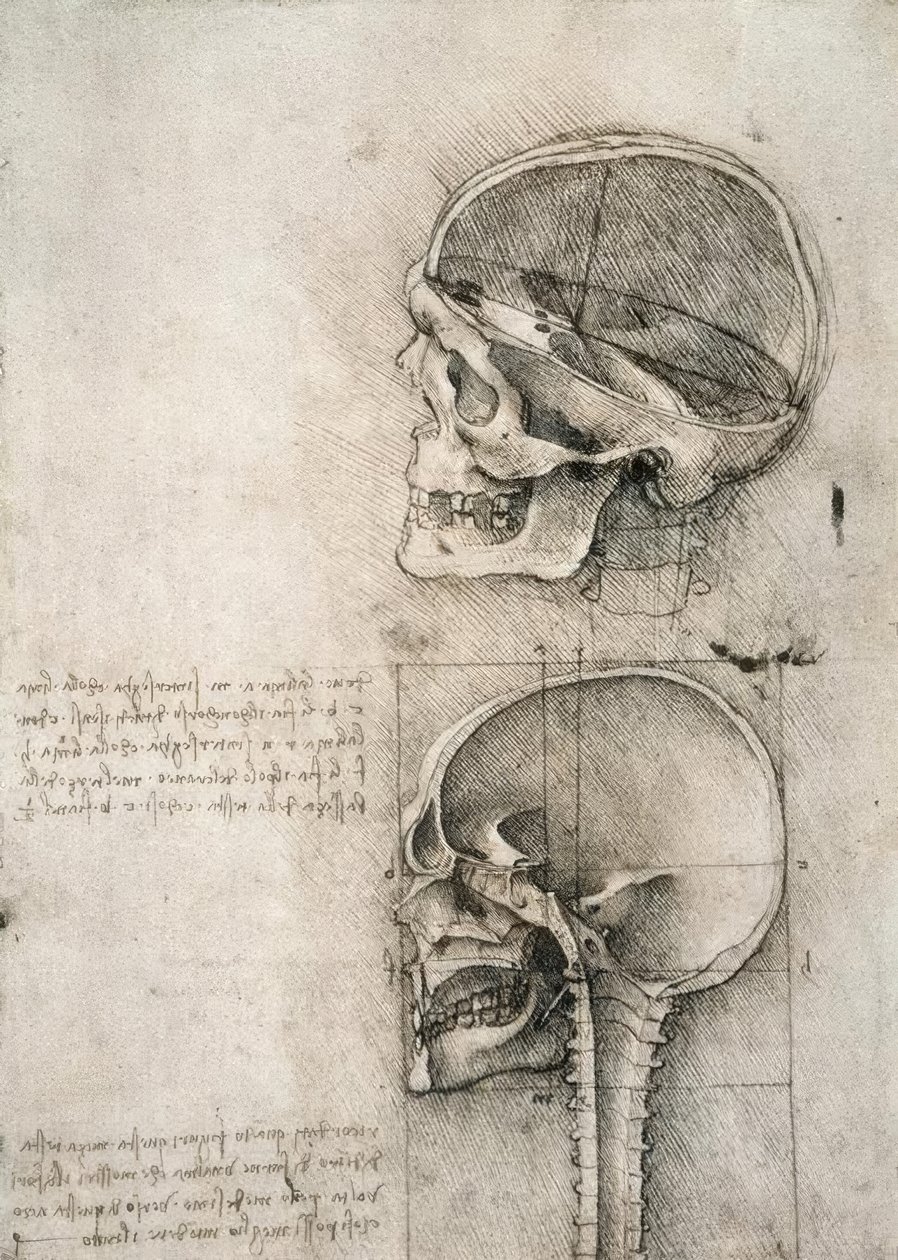 senso comune tekijältä Leonardo da Vinci