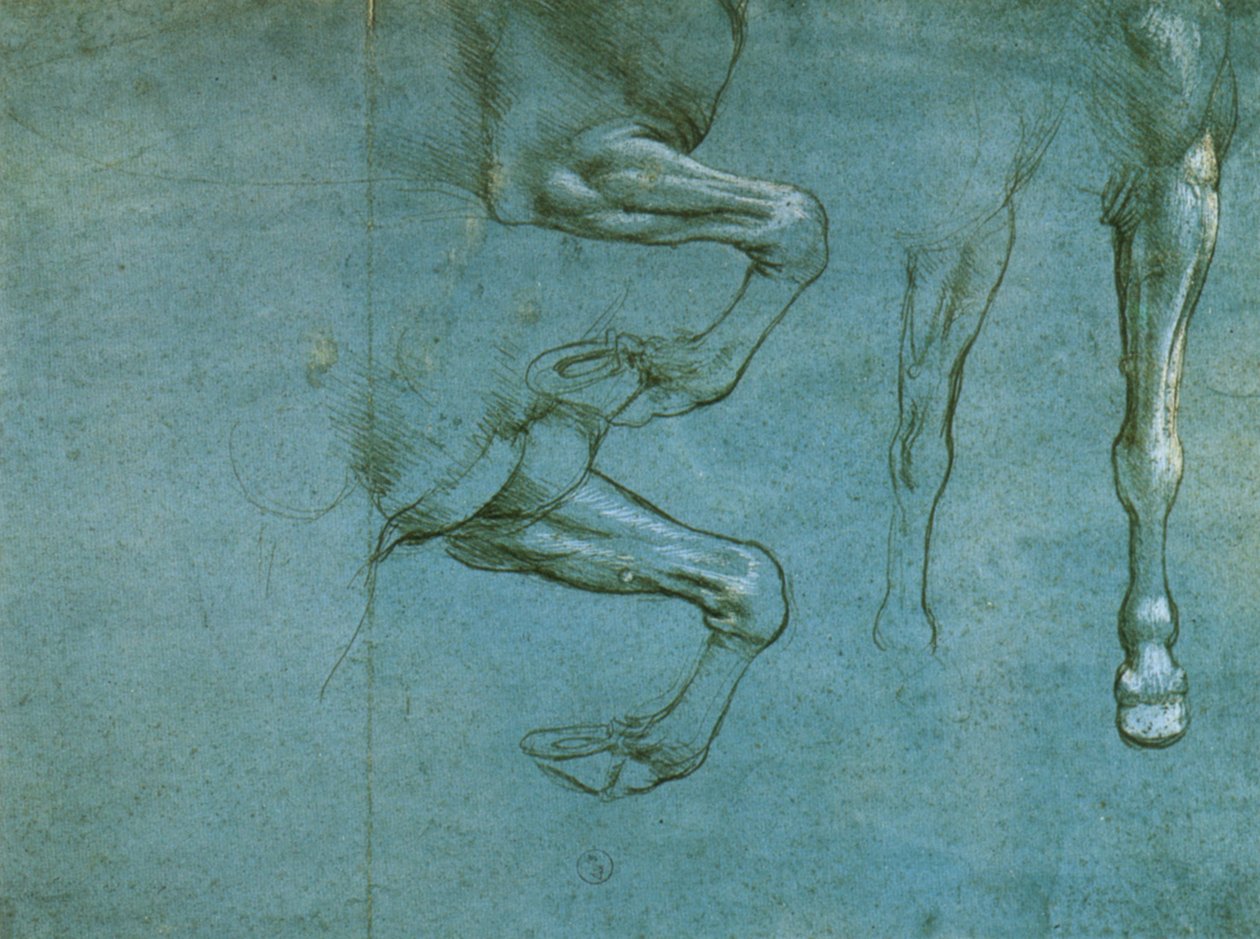 hevosen etujalkojen tutkimus tekijältä Leonardo da Vinci