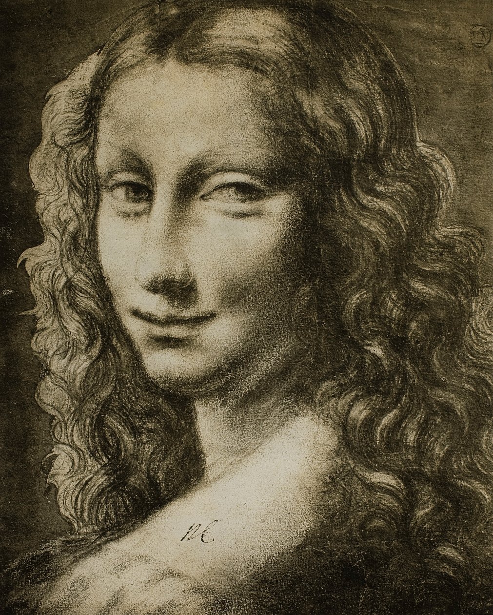 naisen muotokuva; piirros Leonardon koulusta. Louvre, Pariisi tekijältä Leonardo da school of Vinci
