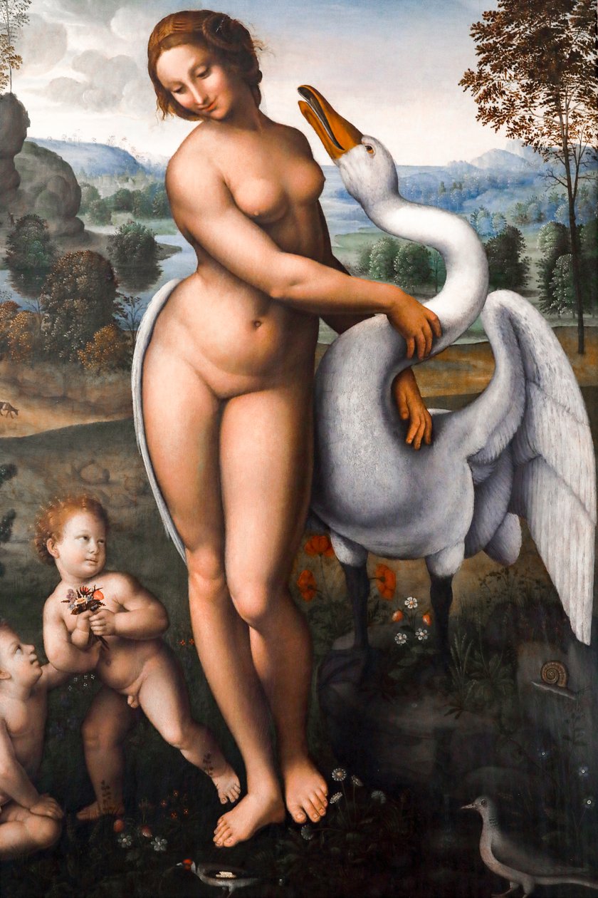 Leda ja joutsen, öljy kankaalle tekijältä Leonardo da (after) Vinci