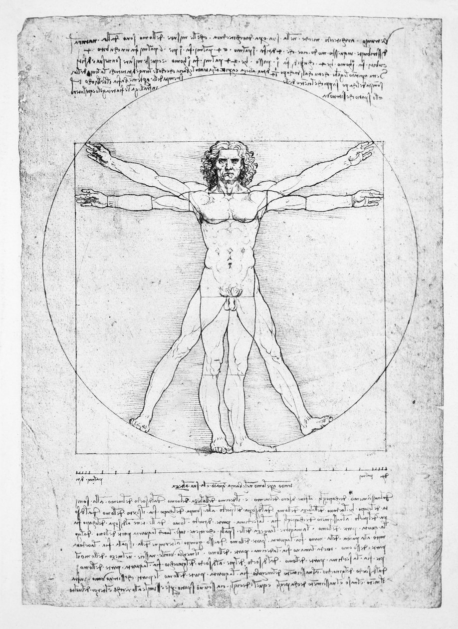 Ihmishahmon suhteet (Vitruviuksen jälkeen), n. 1492 (faksimile) tekijältä Leonardo da (after) Vinci