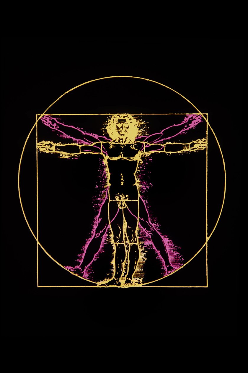 Leonard da Vincin Vitruvian Man, n. 1970 tekijältä Leonardo da (after) Vinci