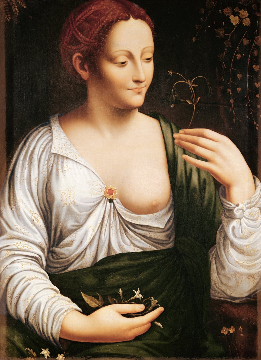  tekijältä Leonardo da (school of) Vinci