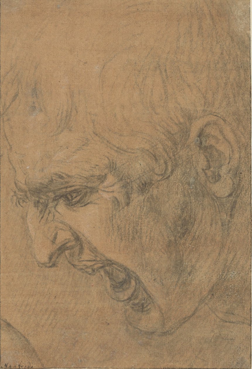 Huutavan miehen pää tekijältä Leonardo da Vinci (follower of)