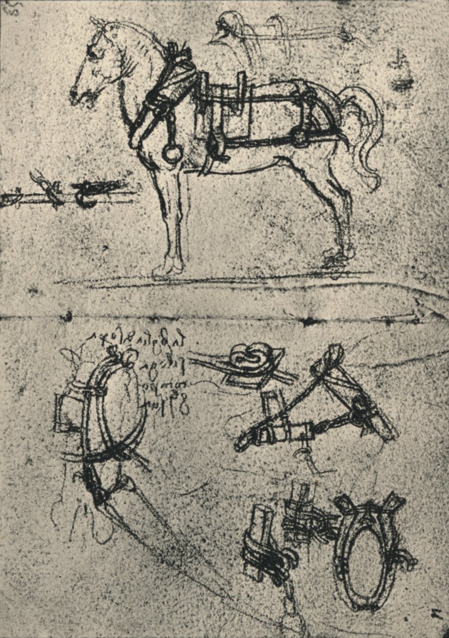 Valjastettu kärryhevonen ja valjaiden opinnot, c1480 1945 tekijältä Leonardo da Vinci