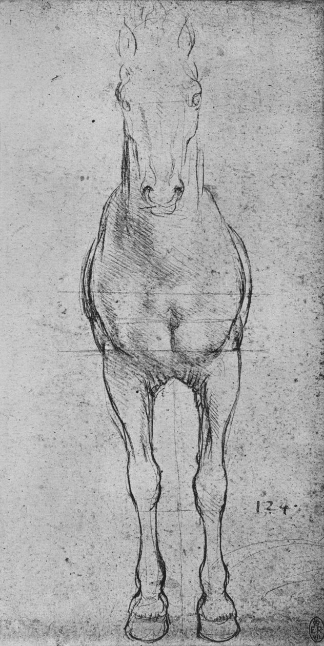 Hevonen edestä nähtynä, c1480 1945 tekijältä Leonardo da Vinci
