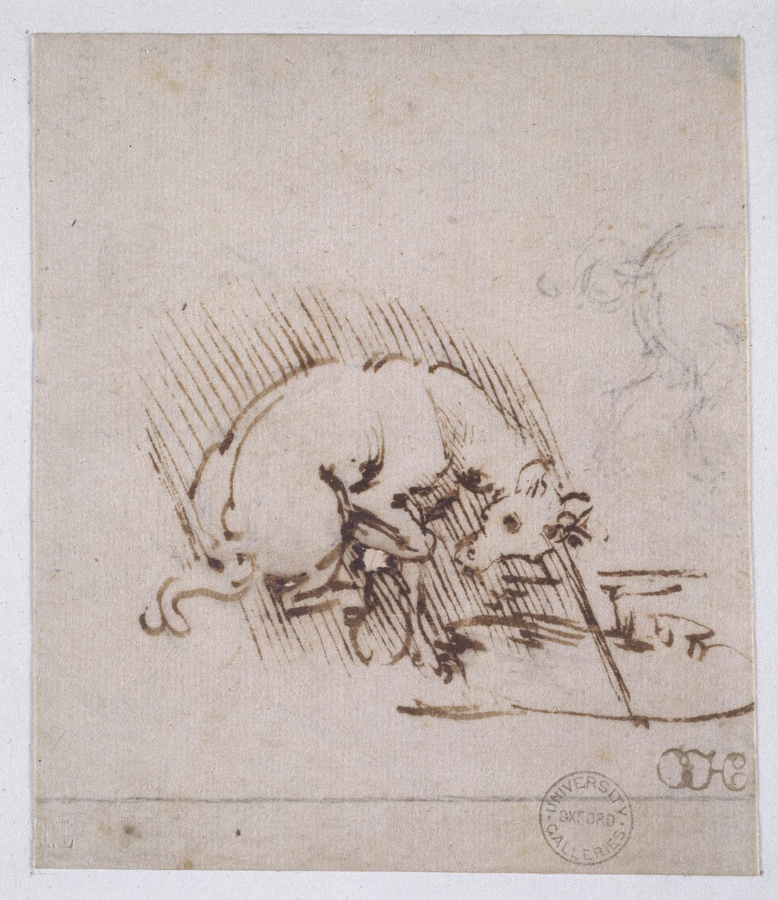Yksisarvinen kastamassa sarveaan vesialtaaseen, n. 1481 (kynä ja mustetta ja metallikärki paperilla) tekijältä Leonardo da Vinci