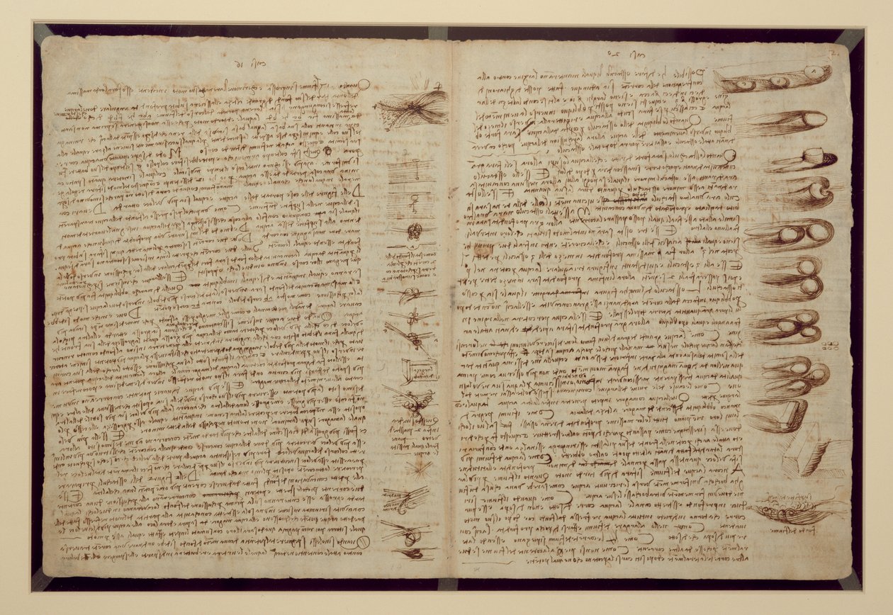 Sivu Codex Leicesteristä, 1508-12 (seepiamuste pellavapaperille) tekijältä Leonardo da Vinci