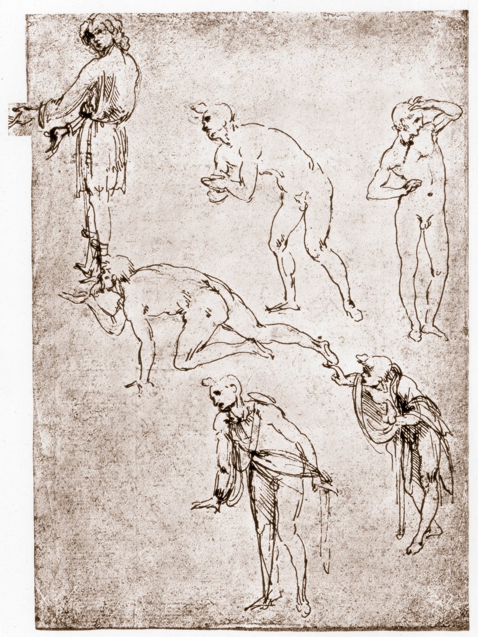 Paimenten palvonta, n. 1478-1480. tekijältä Leonardo da Vinci