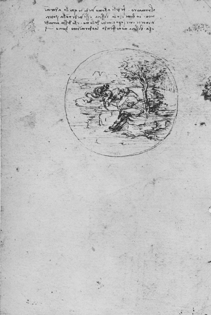 Totuutta symboloivan liskon allegoria, c1480 1945 tekijältä Leonardo da Vinci