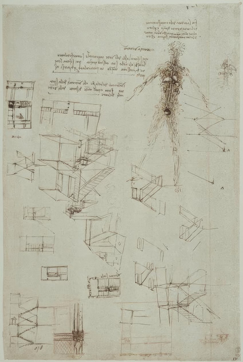 Anatomiestudien tekijältä Leonardo da Vinci