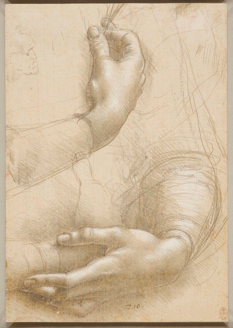 Kädet ja naisten kädet, c. 1480. tekijältä Leonardo da Vinci