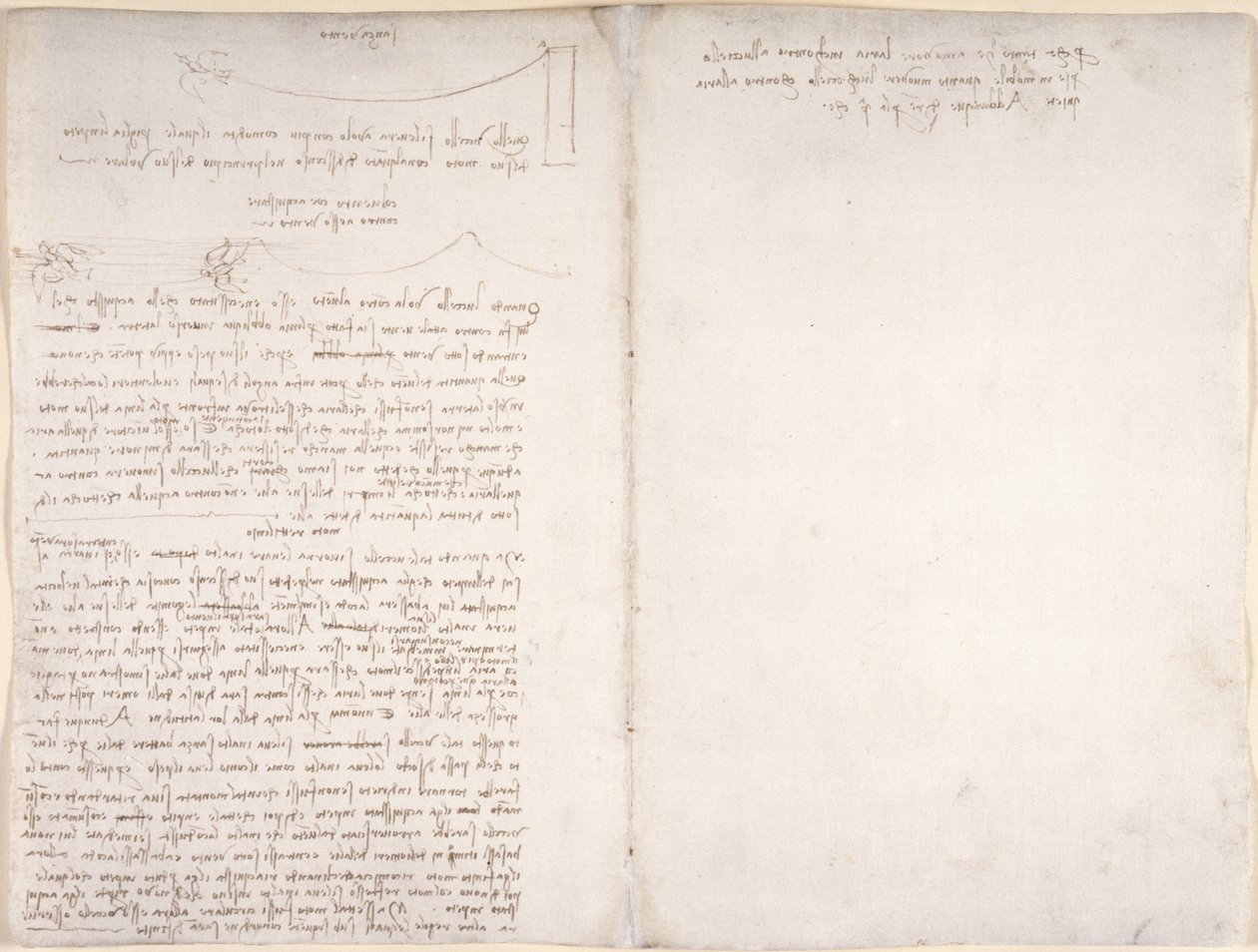 Arundel 263, f.166v, f.163 Muistiinpanot ja kaaviot lintujen lennosta, 