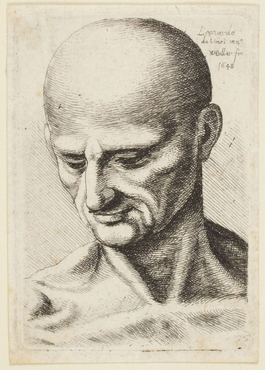 Kalju mies tekijältä Leonardo da Vinci