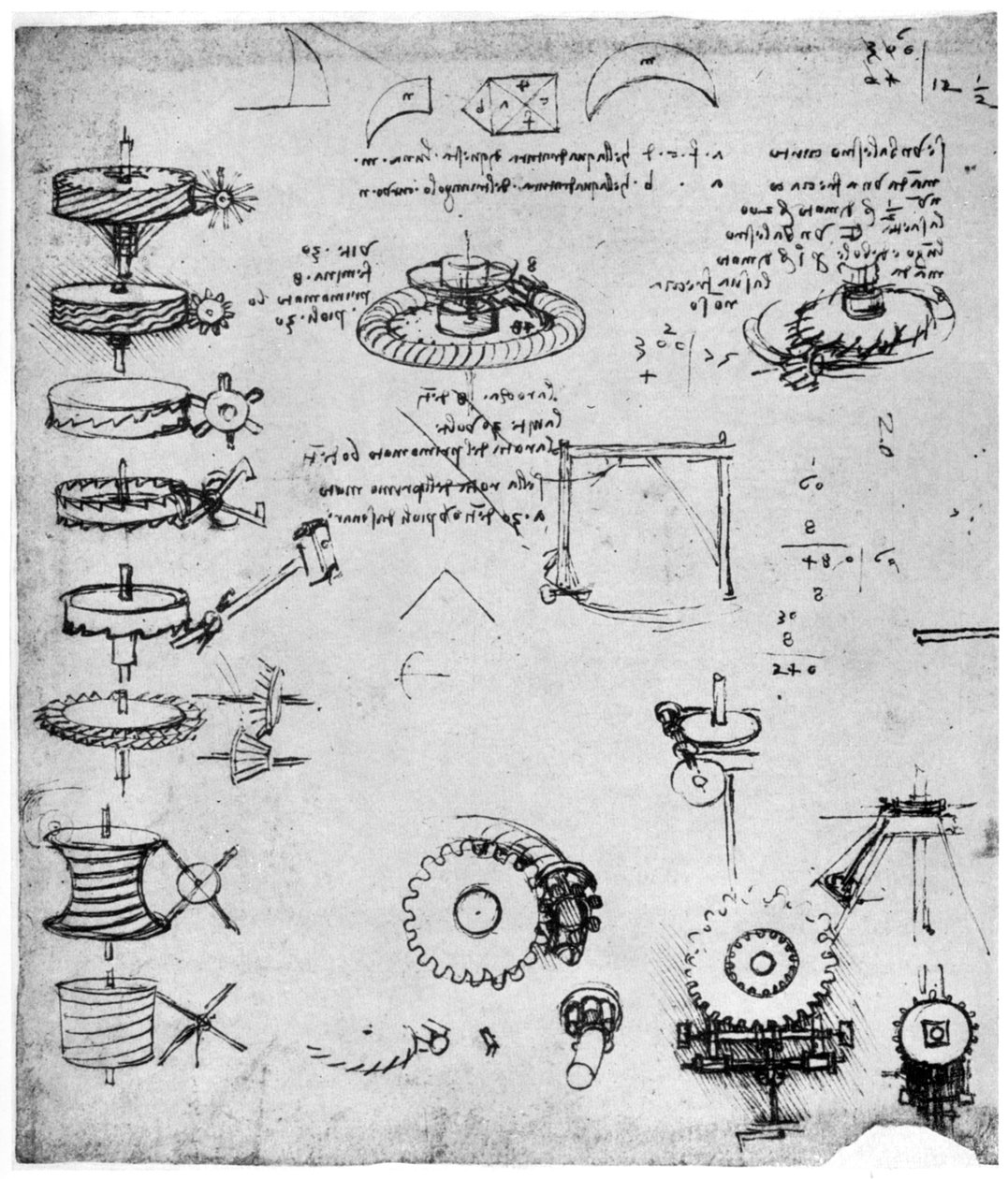 Hammaspyörän yksityiskohta, 1400-luvun loppu tai 1500-luvun alku 1954. tekijältä Leonardo da Vinci