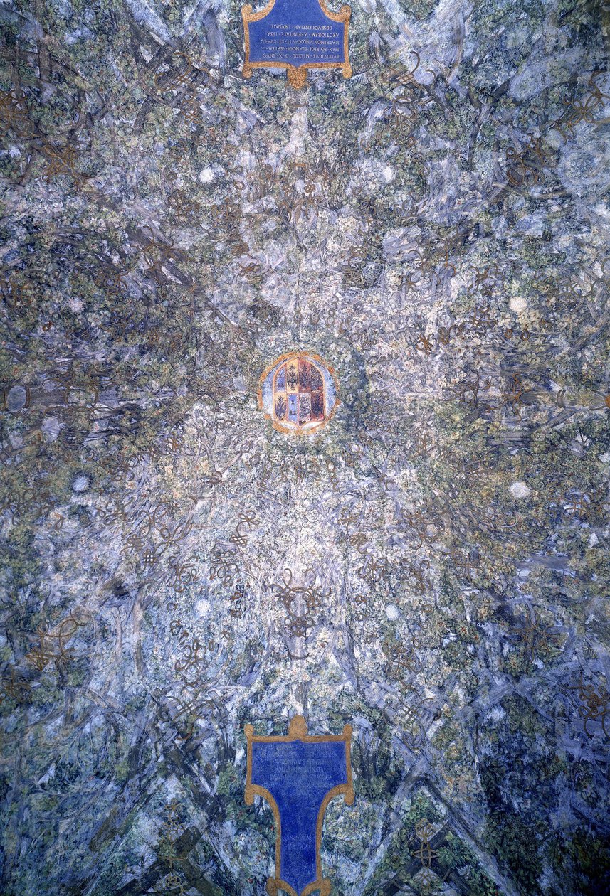 Yksityiskohta Sala delle Assen holvikatosta geometrisella pergolakuviolla, n. 1498 tekijältä Leonardo da Vinci