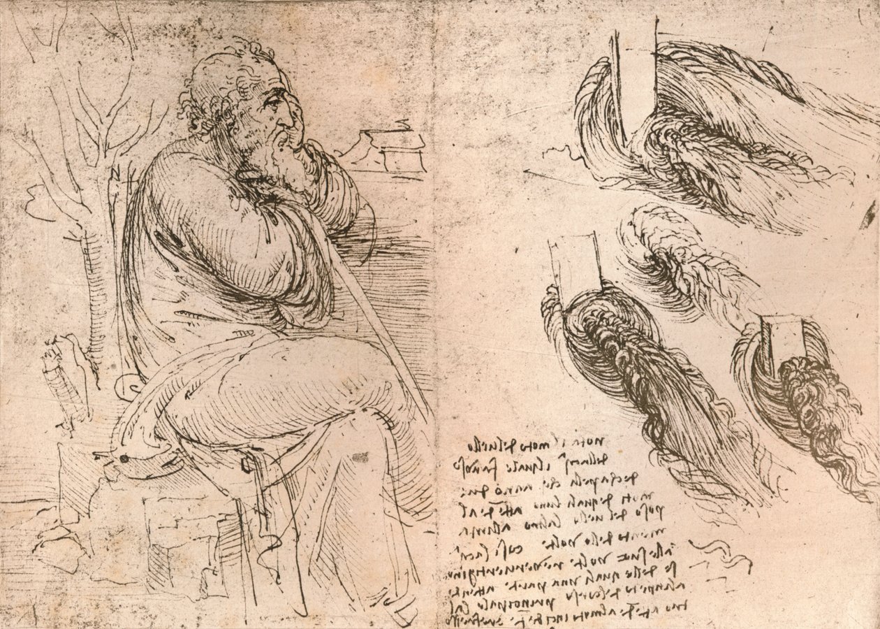 Piirustus, joka havainnollistaa kiharoissa putoavia hiuksia, c1472-c1519 1883 tekijältä Leonardo da Vinci