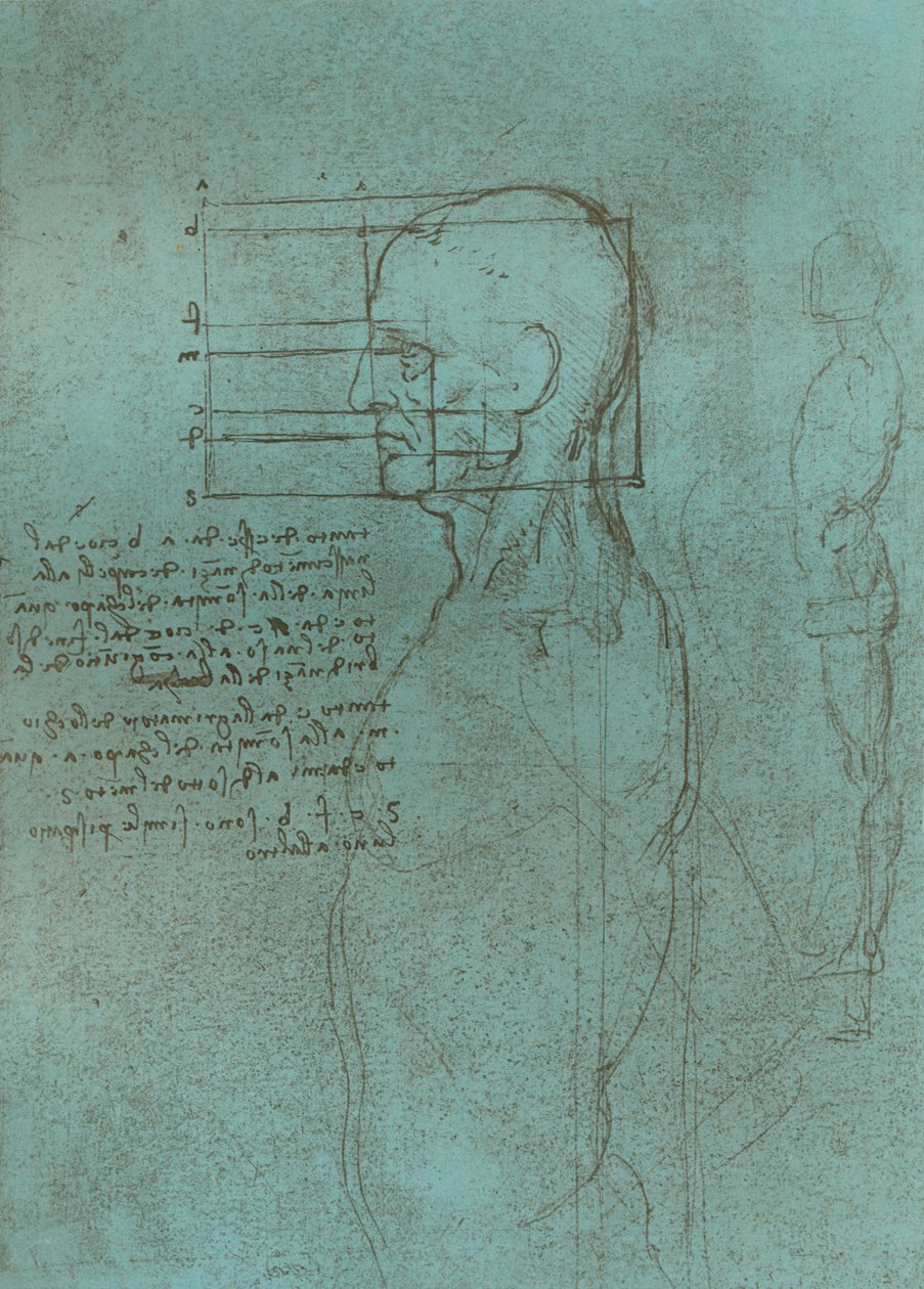 Piirros, joka havainnollistaa teoriaa ihmishahmon mittasuhteista, c1472-c1519 1883. tekijältä Leonardo da Vinci