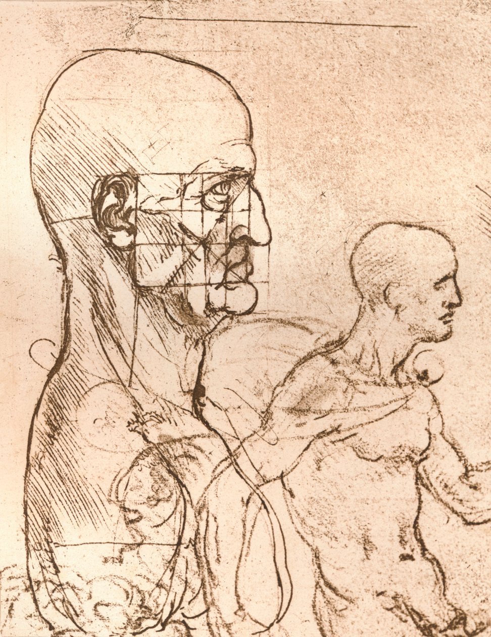 Piirros, joka havainnollistaa teoriaa ihmishahmon mittasuhteista, c1472-c1519 1883 tekijältä Leonardo da Vinci
