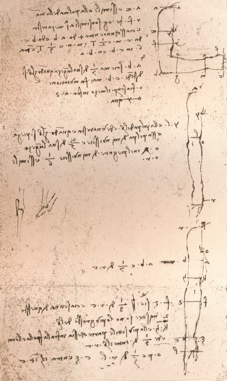 Piirros, joka havainnollistaa teoriaa ihmishahmon mittasuhteista, c1472-c1519 1883 tekijältä Leonardo da Vinci