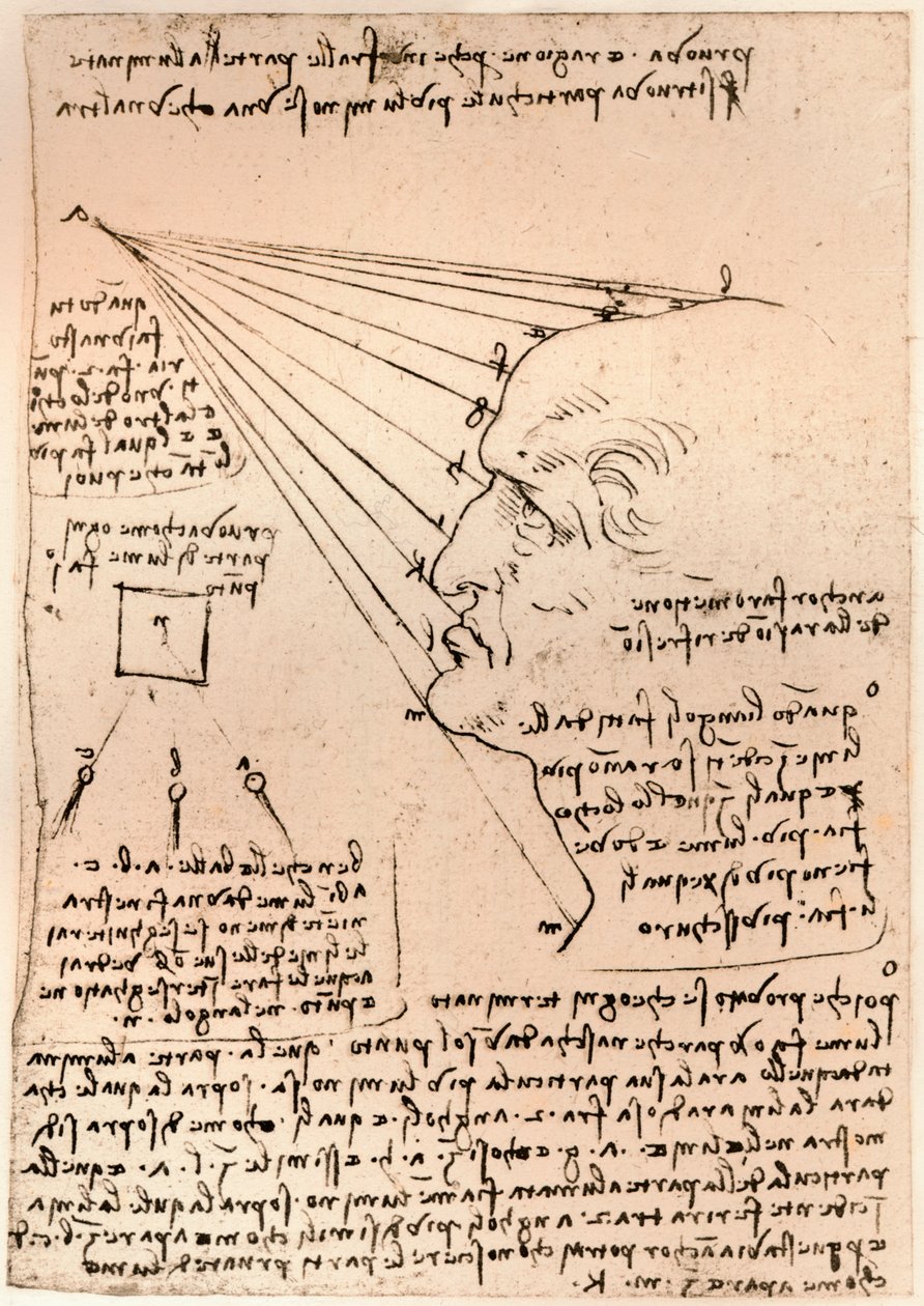 Piirustus miehen päästä, havainnollistaa maalauskäytäntöä, c1472-c1519 1883 tekijältä Leonardo da Vinci