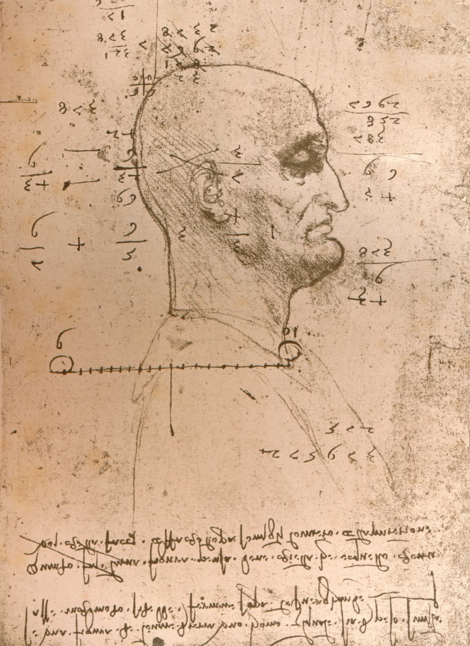 Piirros rikollisen päästä, c1472-c1519 1883 tekijältä Leonardo da Vinci