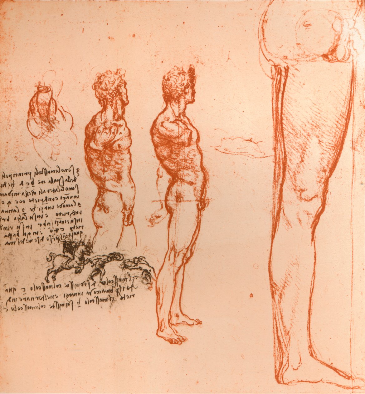 Piirustukset, jotka esittävät ihmishahmon liikkeitä ja sotureita taistelevat, c1472-c1519 1883 tekijältä Leonardo da Vinci
