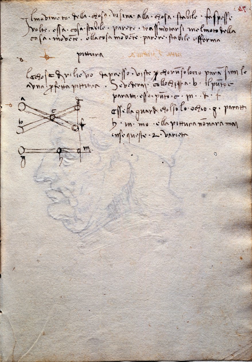 Ote maalauskirjasta Codex Trivulzianuksesta tekijältä Leonardo da Vinci