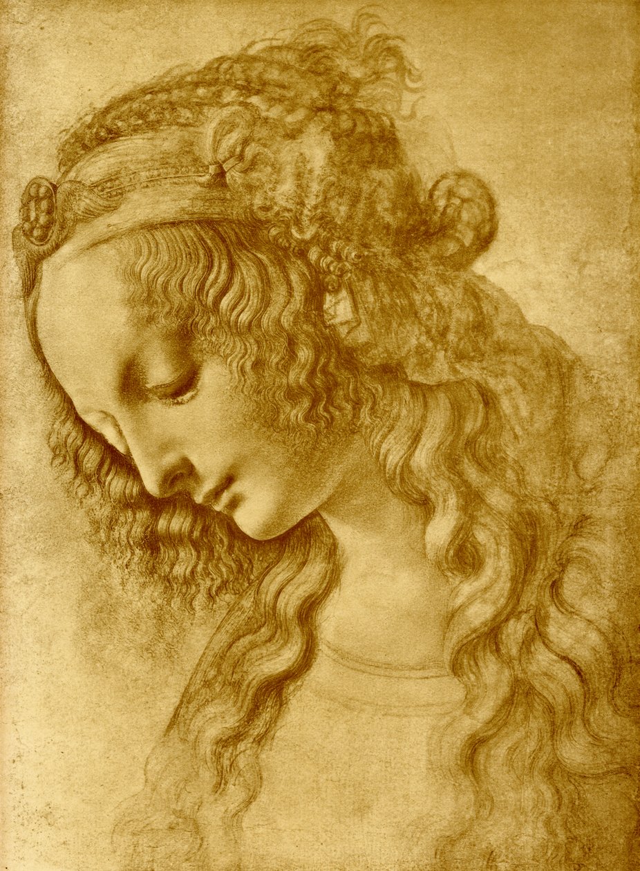 Naisen pää tekijältä Leonardo da Vinci