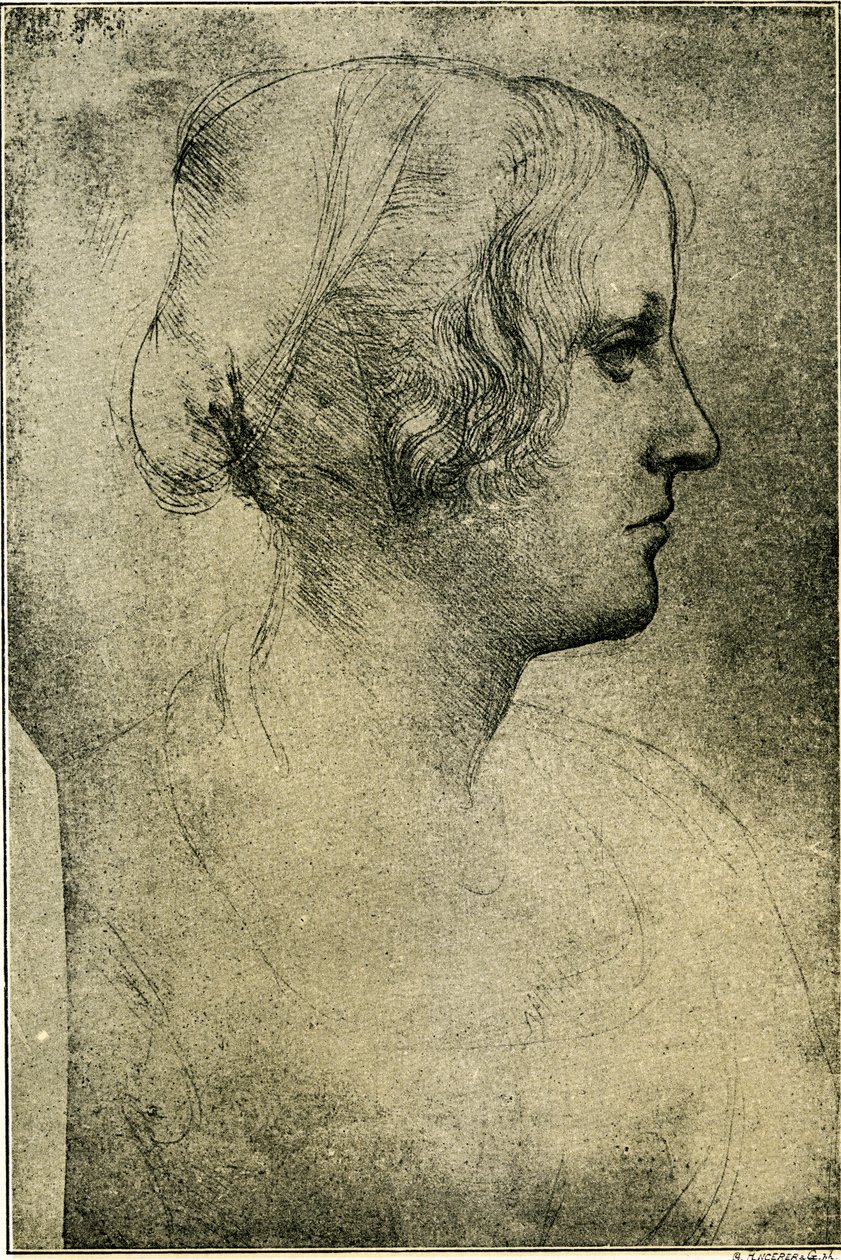 Naisen profiilin pää tekijältä Leonardo da Vinci
