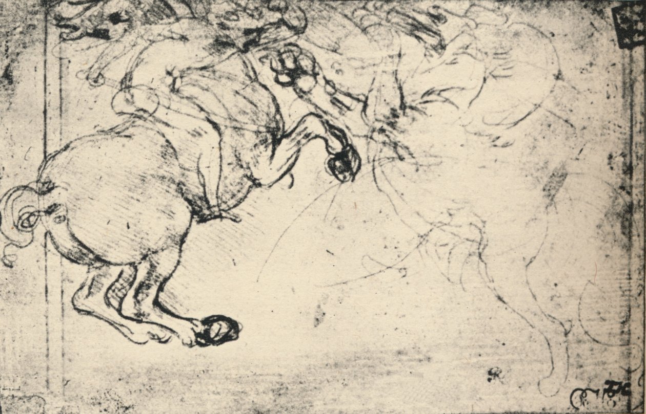 Taistelu ratsumiehen ja griffinin välillä, c1480 1945 tekijältä Leonardo da Vinci