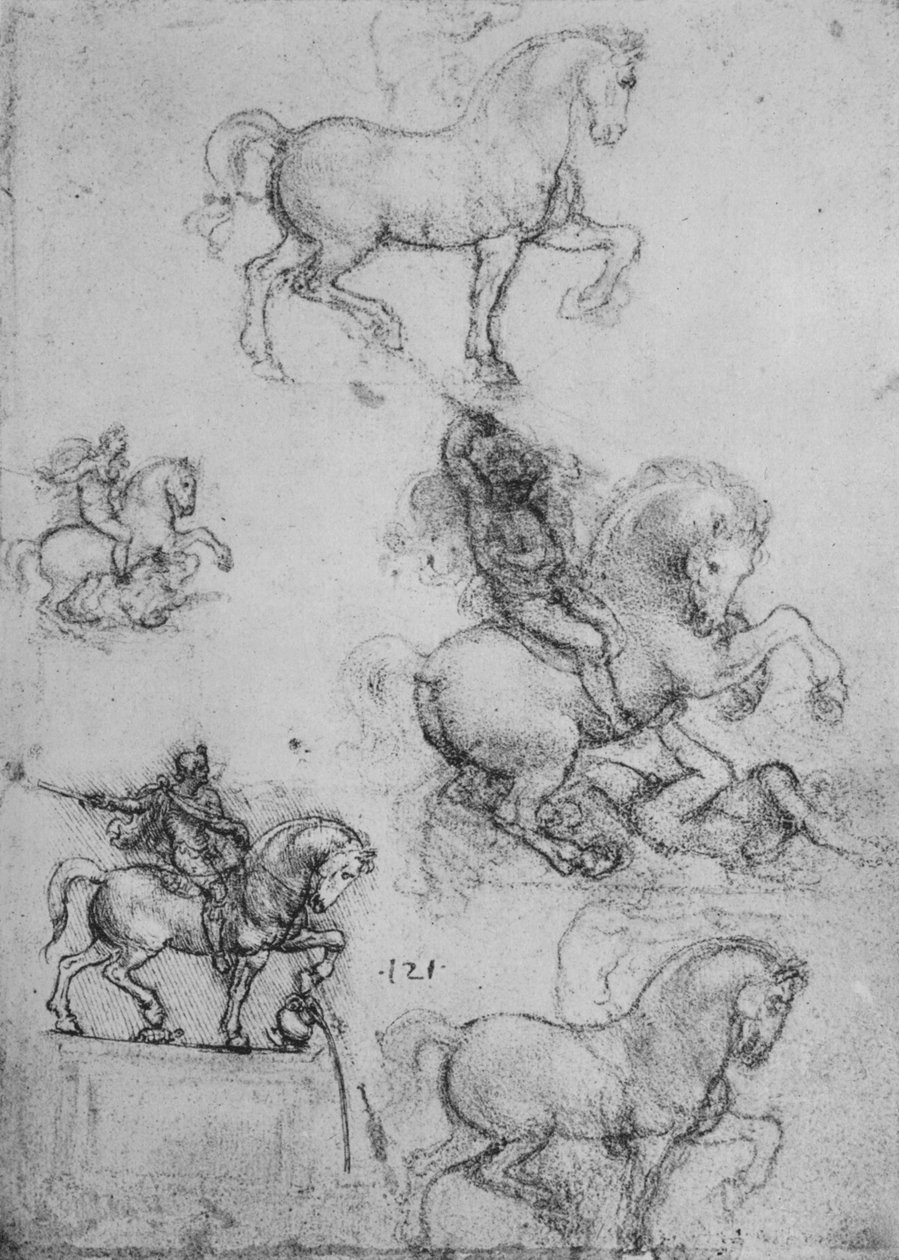 Viisi tutkimusta hevosista ja ratsastajista, c1480 1945 tekijältä Leonardo da Vinci