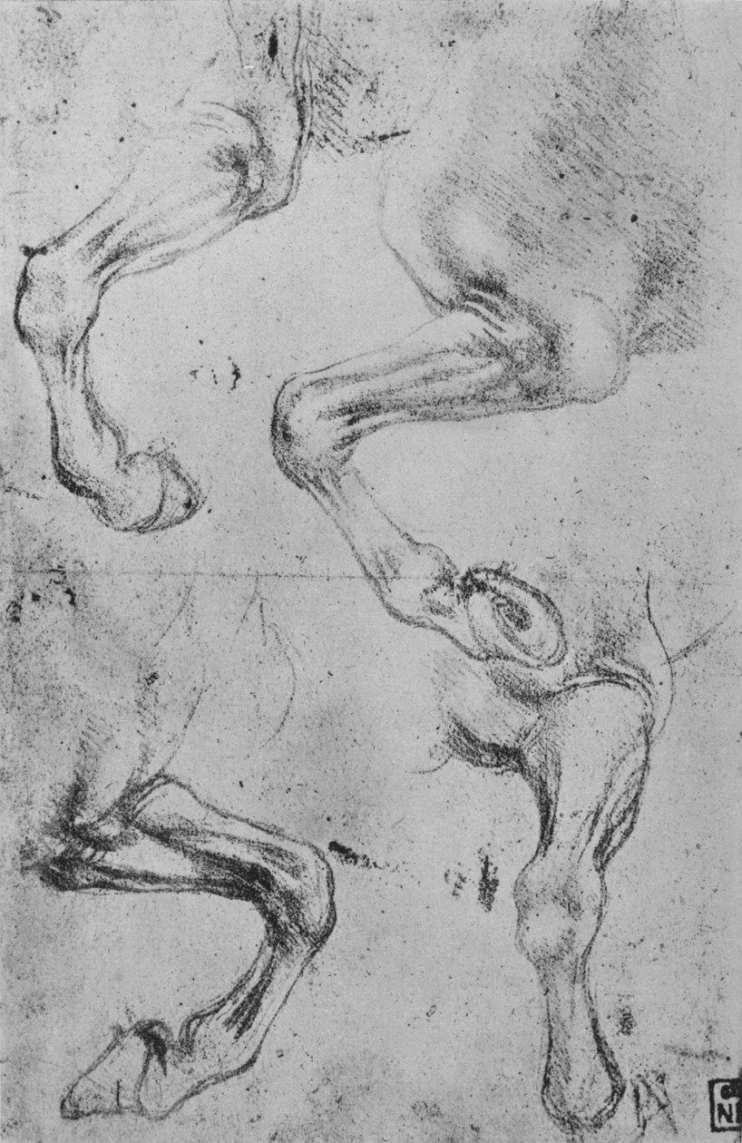 Neljä tutkimusta hevosten jaloista, c1480 1945 tekijältä Leonardo da Vinci