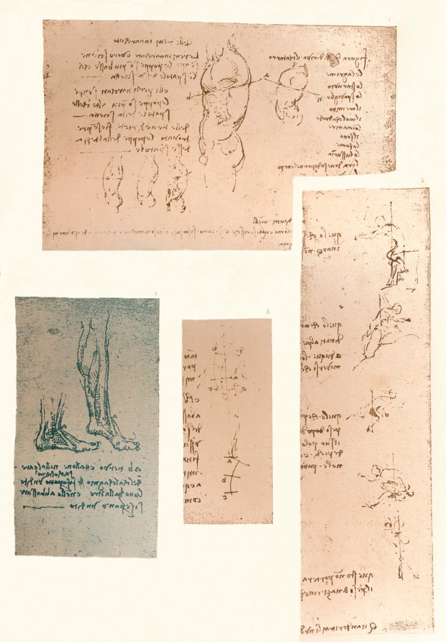 Neljä piirustusta havainnollistavat teoriaa ihmishahmon liikkeistä, c1472-c1519 1883 tekijältä Leonardo da Vinci