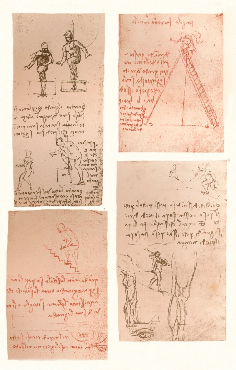 Neljä piirustusta havainnollistavat teoriaa ihmishahmon liikkeistä, c1472-c1519 1883 tekijältä Leonardo da Vinci