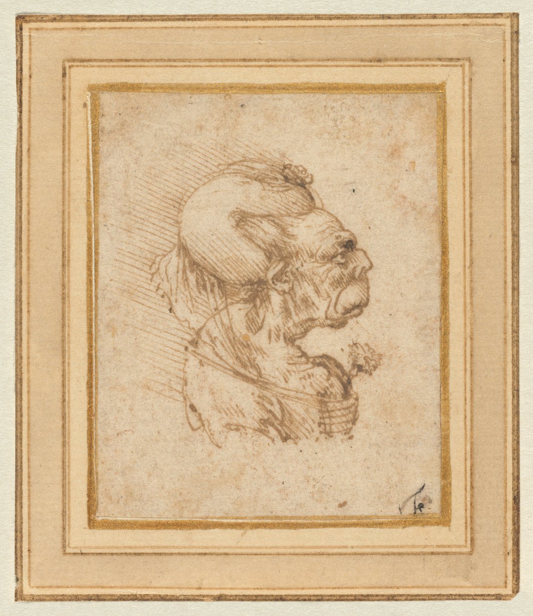 Vanhan naisen groteski pää tekijältä Leonardo da Vinci