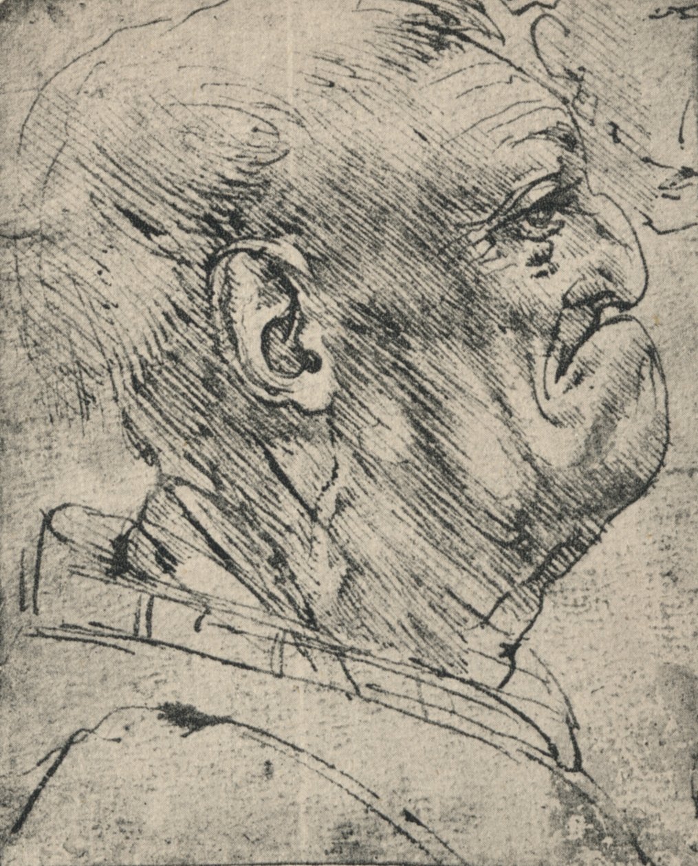 Groteski miehen profiili oikealla, c1480 1945 tekijältä Leonardo da Vinci