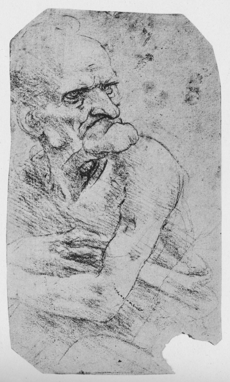 Puolipitkä karikatyyri vanhasta miehestä, jolla on näkyvä leuka, c1480 1945 tekijältä Leonardo da Vinci