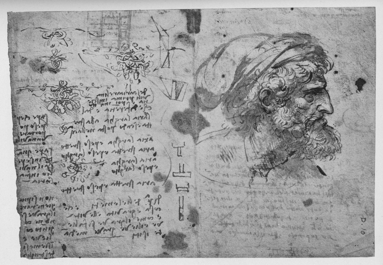 Parrakkaan miehen pää ja hartiat, c1480 1945 tekijältä Leonardo da Vinci
