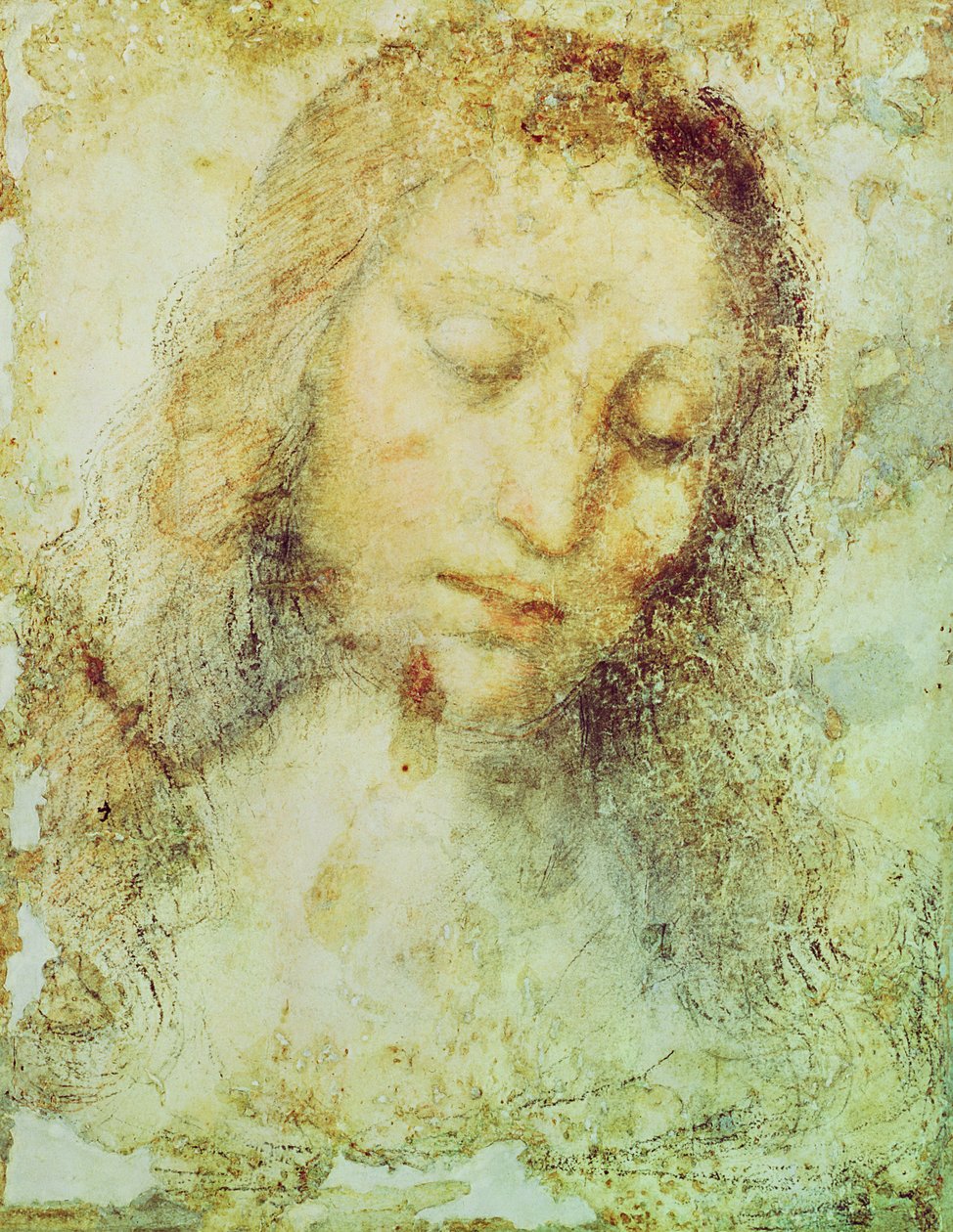 Kristuksen pää (lyijykynä ja pesuaine) tekijältä Leonardo da Vinci