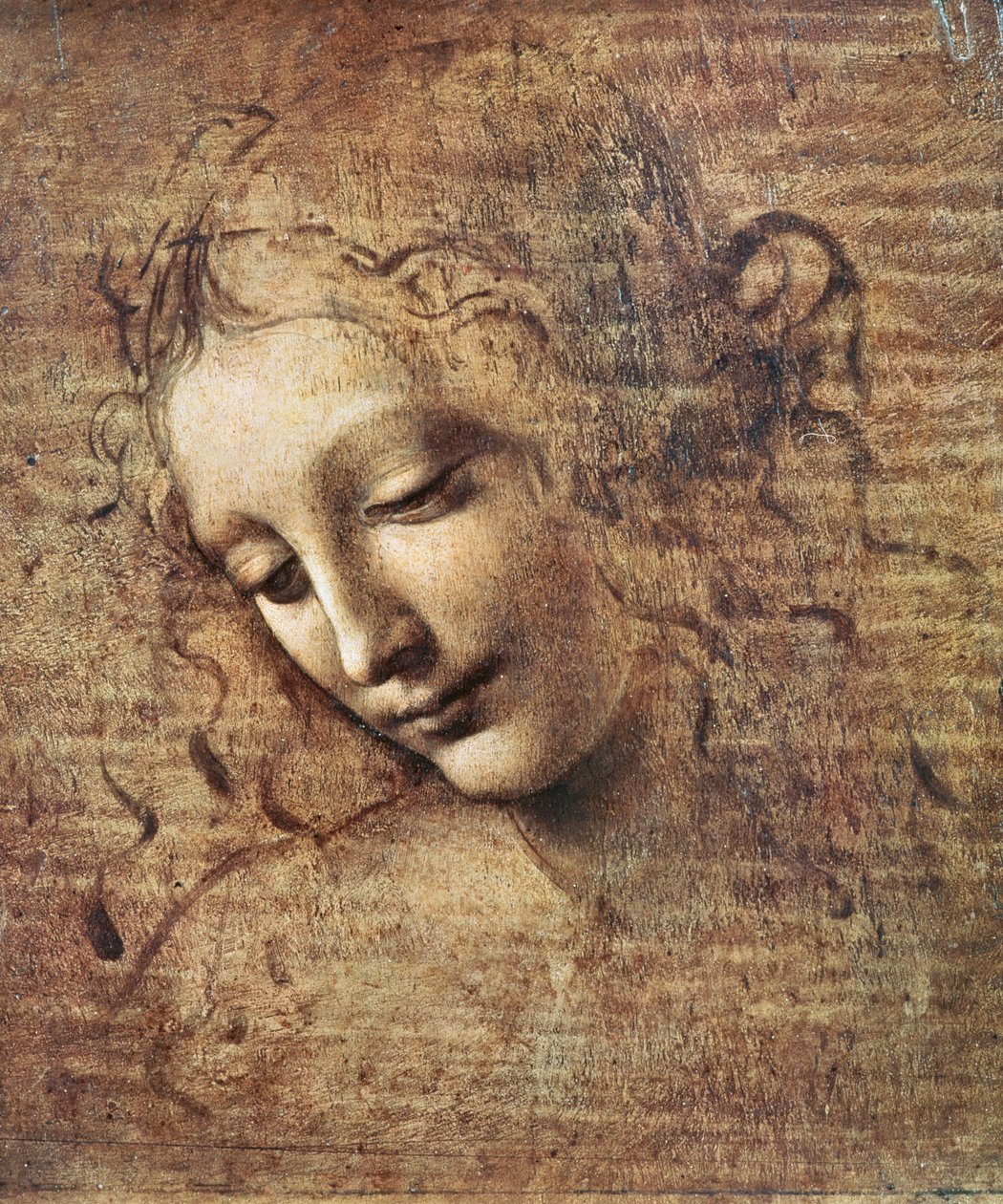 Nuoren naisen, jolla on rypyt hiukset, pää tai Leda (guassi puulla) tekijältä Leonardo da Vinci