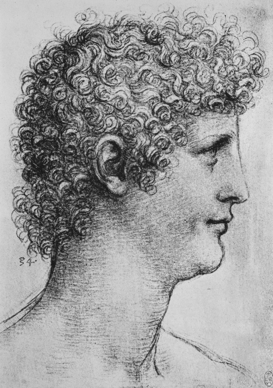 Nuoren profiilin johtaja oikealla, c1480 1945 tekijältä Leonardo da Vinci