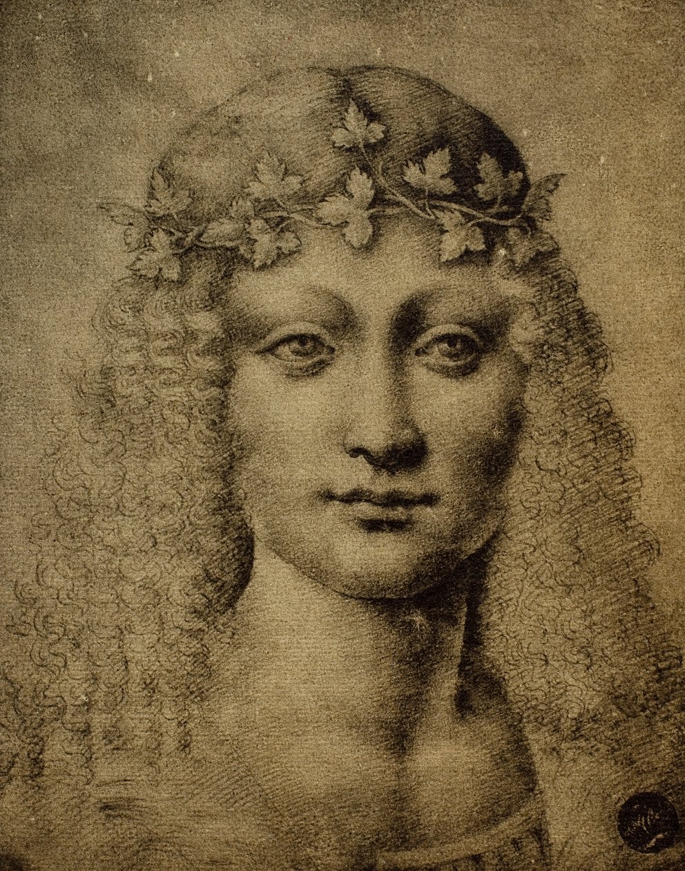 Tytön tai nuoren Bacchuksen pää; Leonardo da Vincin piirustus. Gallerie dell