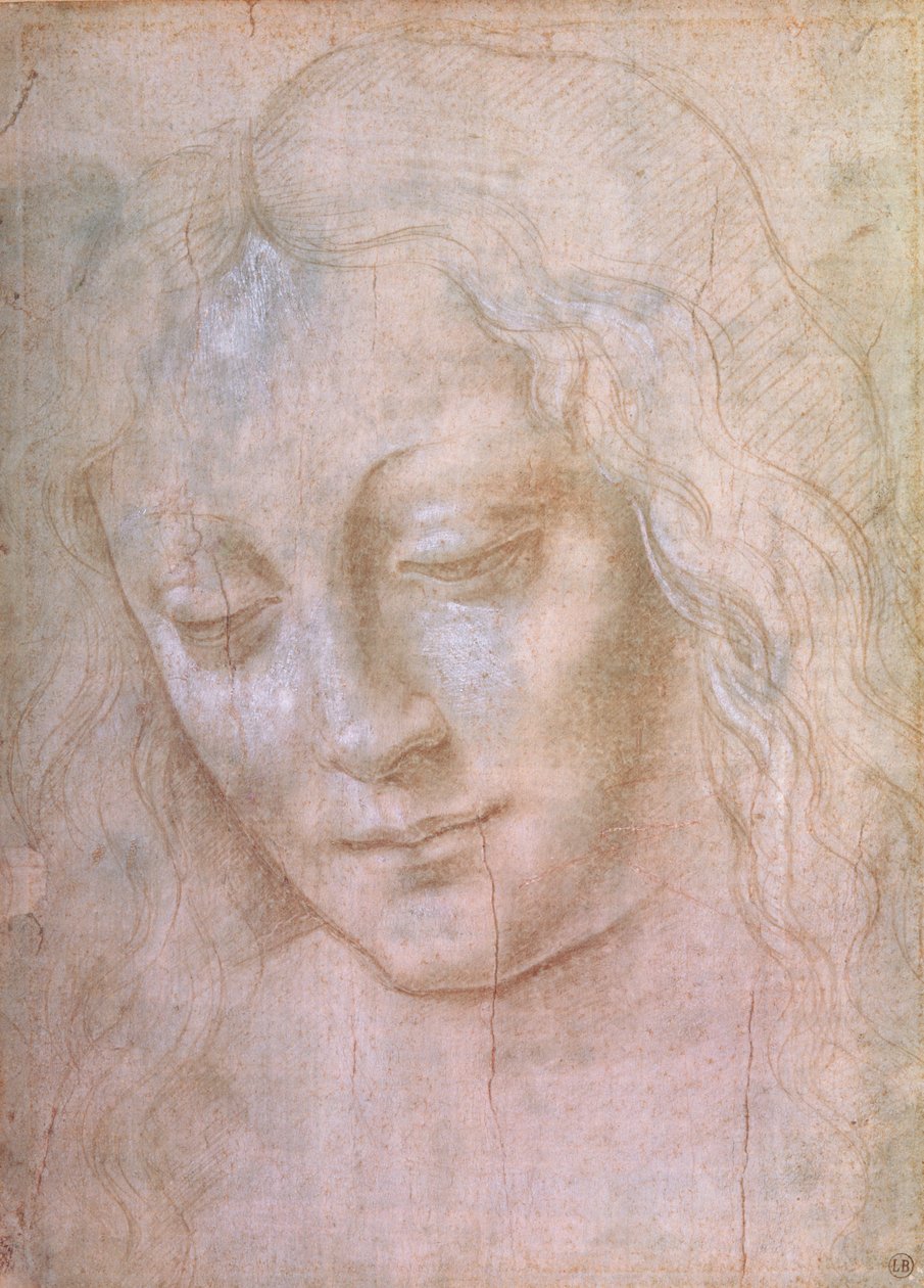 Naisen pää (guassilla korotettu metallikärki) tekijältä Leonardo da Vinci