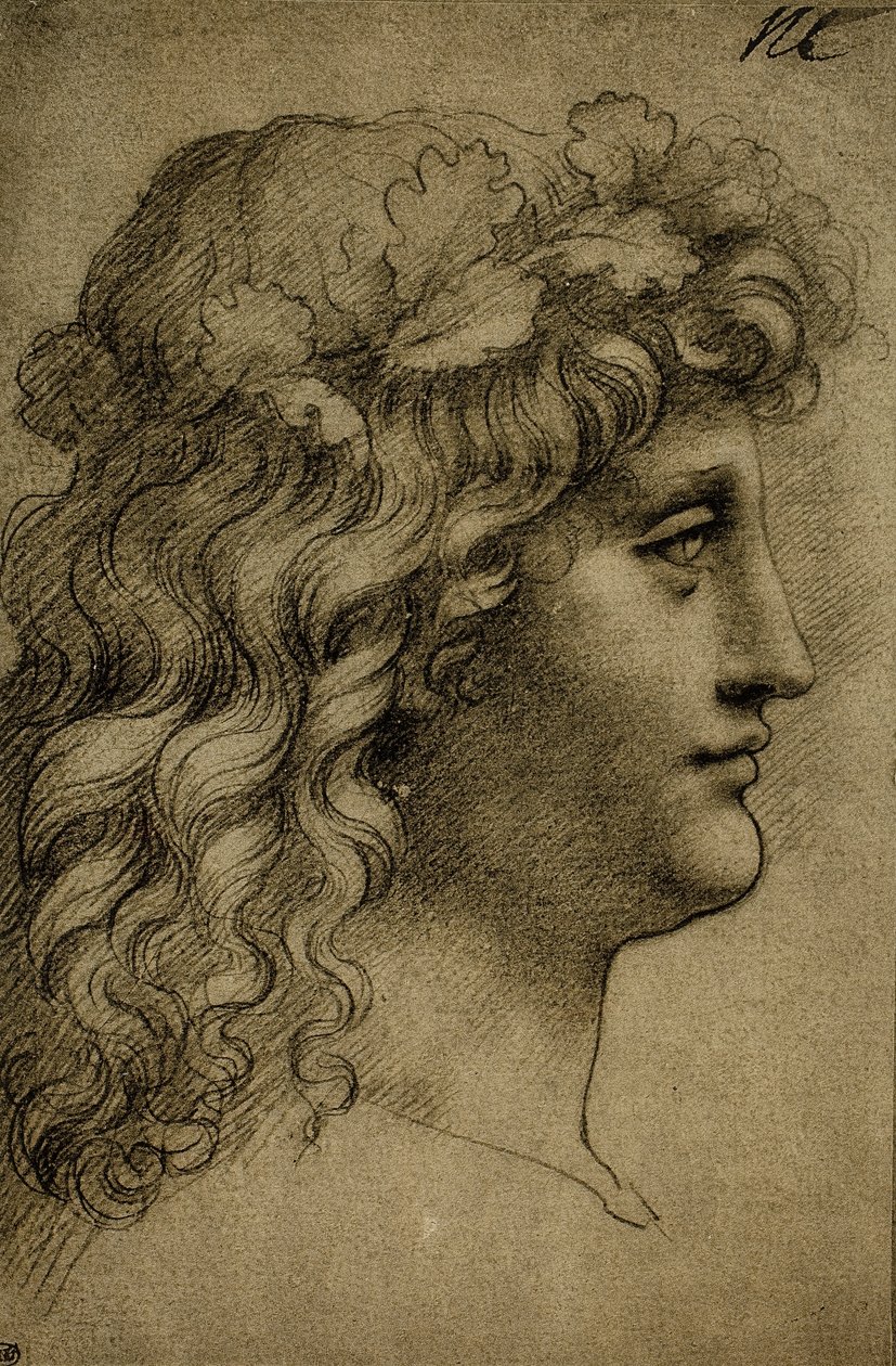 Nuoren miehen pää; Leonardo da Vincin piirustus. Louvre, Pariisi tekijältä Leonardo da Vinci