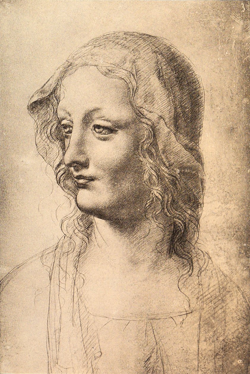 Nuoren naisen pää, Leonardo da Vincin piirustus, Piirustus- ja grafiikkakaappi, Uffizi, Firenze tekijältä Leonardo da Vinci